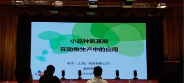 第十五屆泰山論壇 動物營養與飼料科學技術交流峰會2019圓滿落幕，技術轉讓成果豐碩